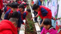 “種一棵小樹，綠一方凈土”植樹節(jié)活動