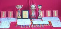 幼兒園部分獲獎獎杯、證書