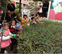 小班的弟弟妹妹給小樹(shù)澆水，希望小樹(shù)快快長(zhǎng)大！